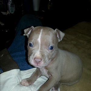 Meet your Posher, Nathanuel